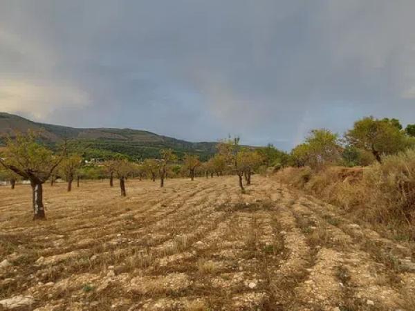 Terreno en Partida la Devesa, 138