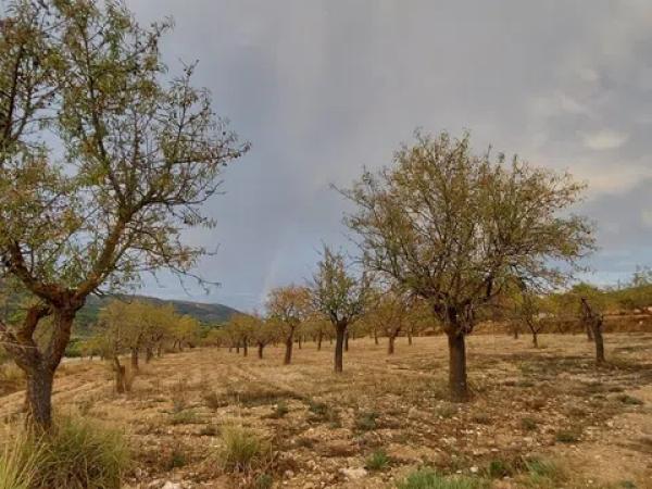 Terreno en Partida la Devesa, 138