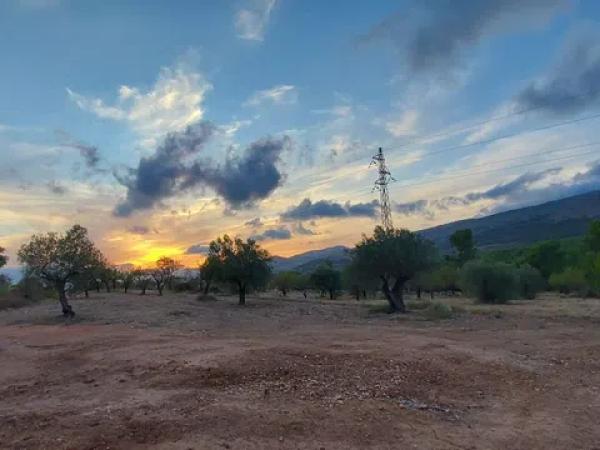 Terreno en Partida la Devesa, 138