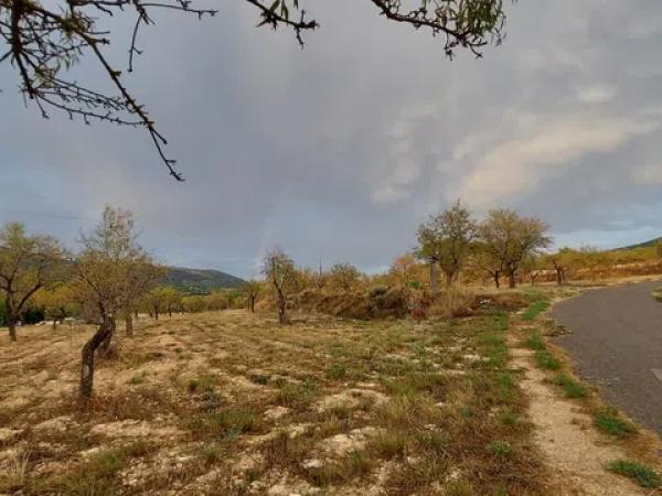 Terreno en Partida la Devesa, 138