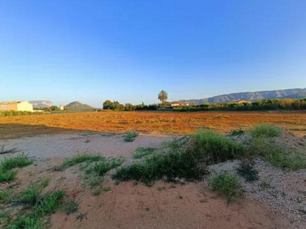 Terreno en Alcalali s/n