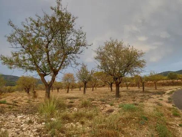 Terreno en Partida la Devesa, 138