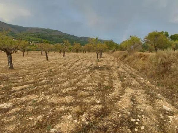 Terreno en Partida la Devesa, 138