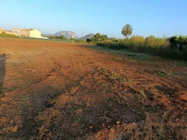 Terreno en Alcalali s/n