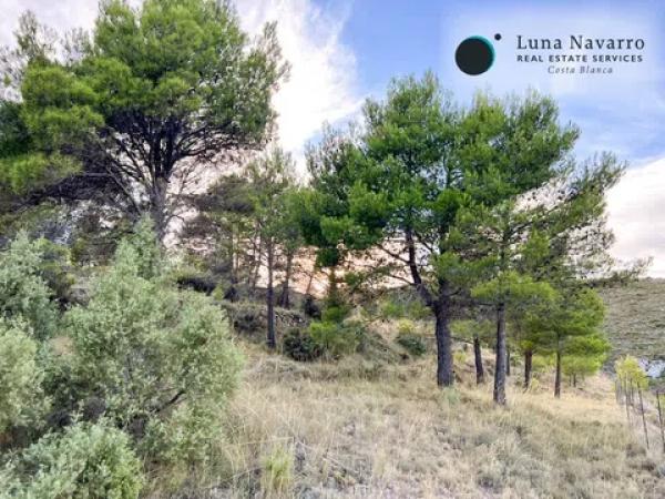 Terreno en calle Sant Antoni, 50