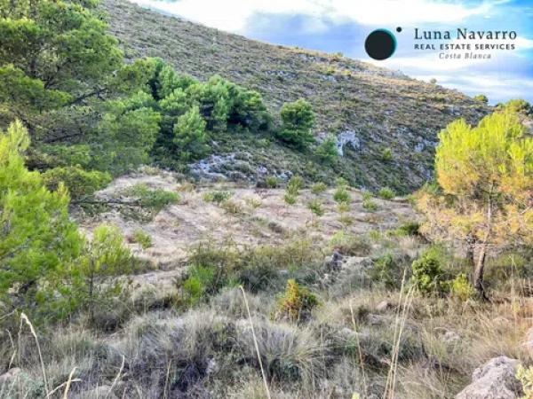 Terreno en calle Sant Antoni, 50