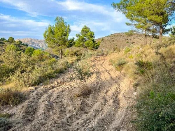 Terreno en calle Sant Antoni, 50