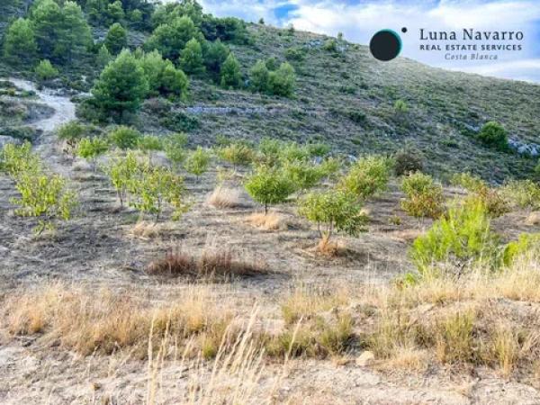 Terreno en calle Sant Antoni, 50