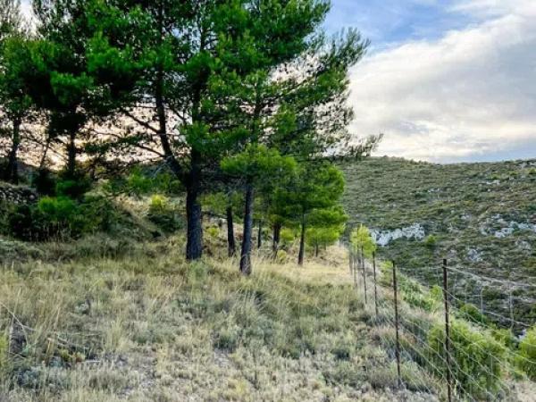 Terreno en calle Sant Antoni, 50