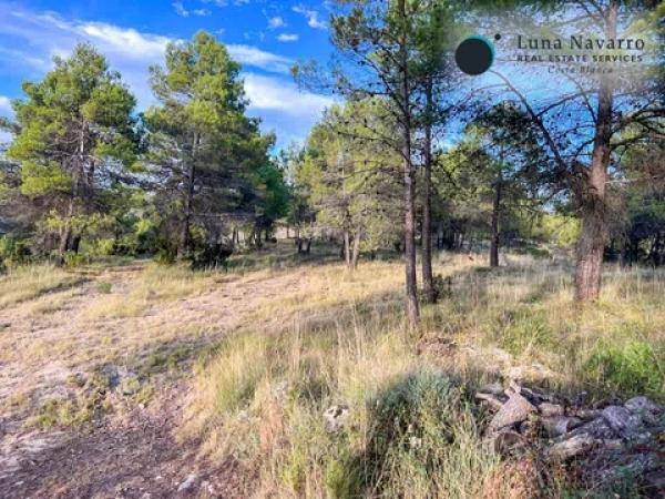 Terreno en calle Sant Antoni, 50