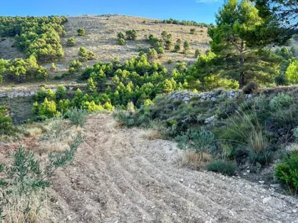 Terreno en calle Sant Antoni, 50