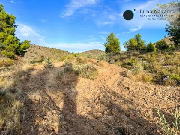 Terreno en calle Sant Antoni, 50