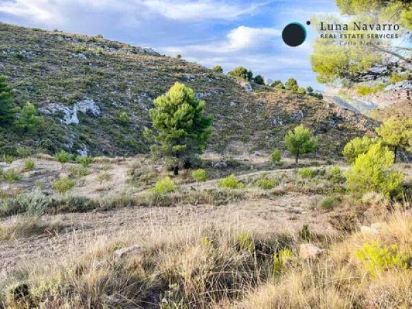 Terreno en calle Sant Antoni, 50