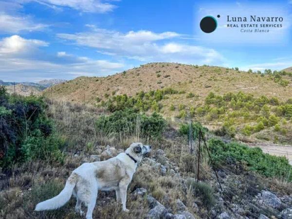 Terreno en calle Sant Antoni, 50