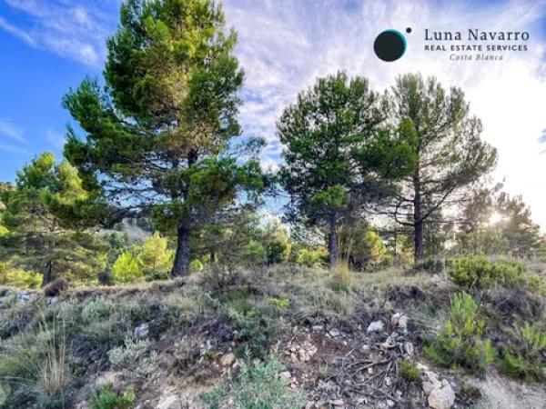 Terreno en calle Sant Antoni, 50