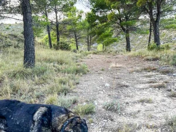 Terreno en calle Sant Antoni, 50