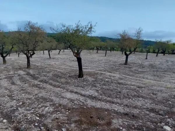 Terreno en Partida la Devesa, 138