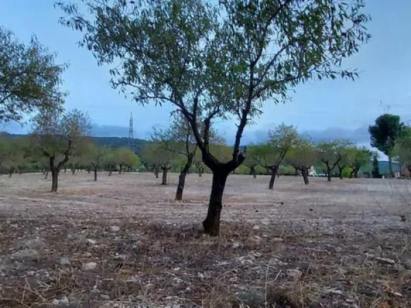 Terreno en Partida la Devesa, 138