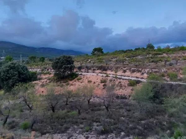 Terreno en Partida la Devesa, 138