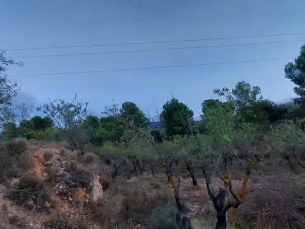 Terreno en Partida la Devesa, 138