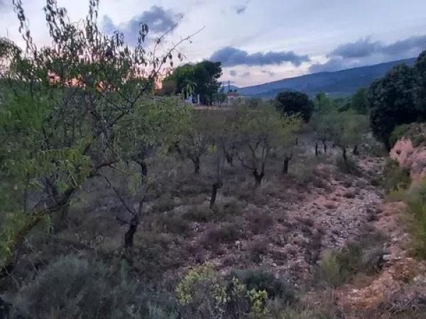 Terreno en Partida la Devesa, 138