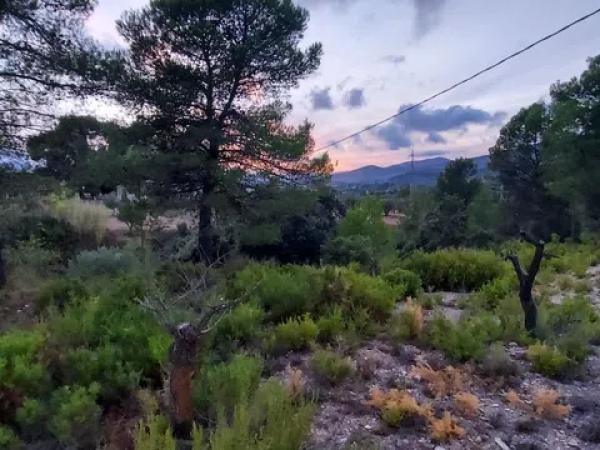 Terreno en Partida la Devesa, 138