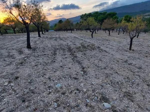 Terreno en Partida la Devesa, 138