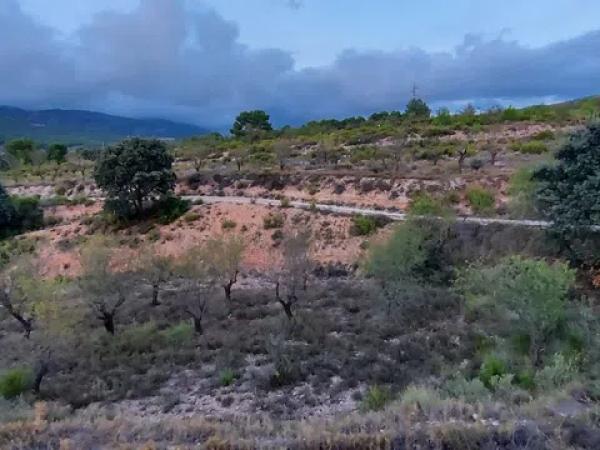 Terreno en Partida la Devesa, 138