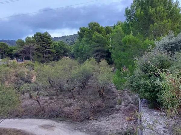 Terreno en Partida la Devesa, 138