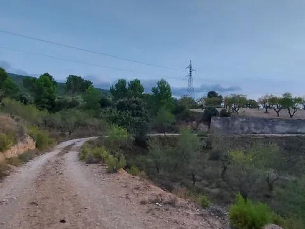 Terreno en Partida la Devesa, 138