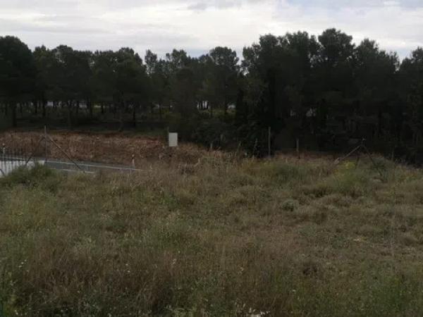 Terreno en carretera de Xixona