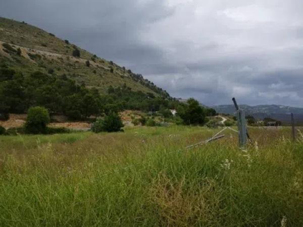 Terreno en carretera de Xixona