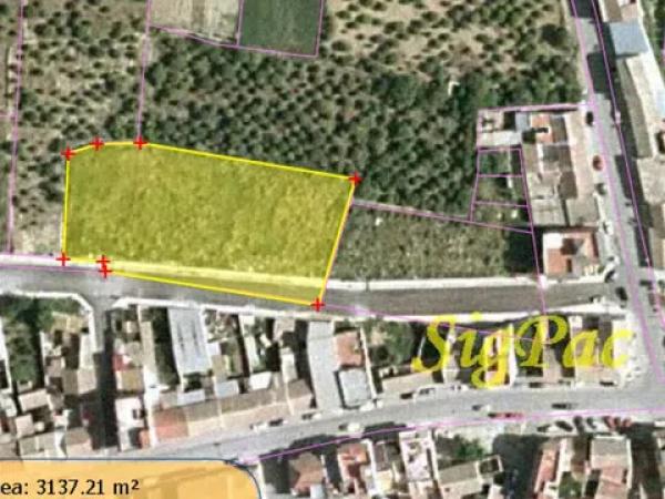 Terreno en calle Alquibla, 38 Parcela