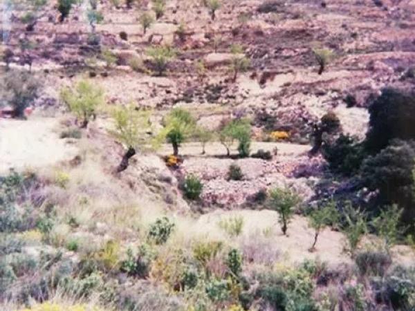 Terreno en Paraje Monte Agut