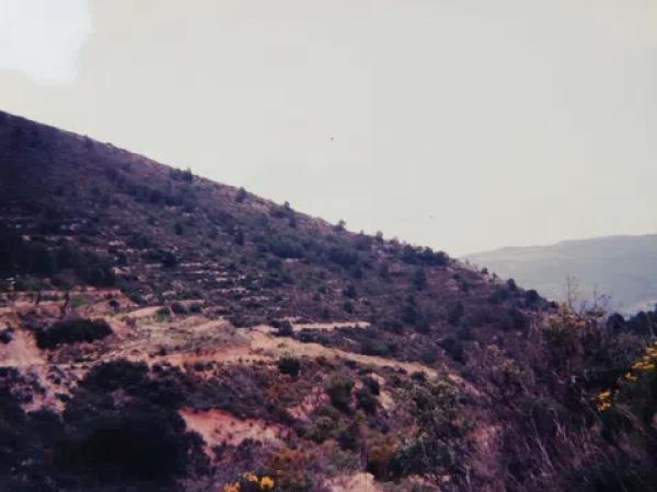 Terreno en Paraje Monte Agut
