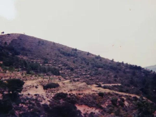 Terreno en Paraje Monte Agut