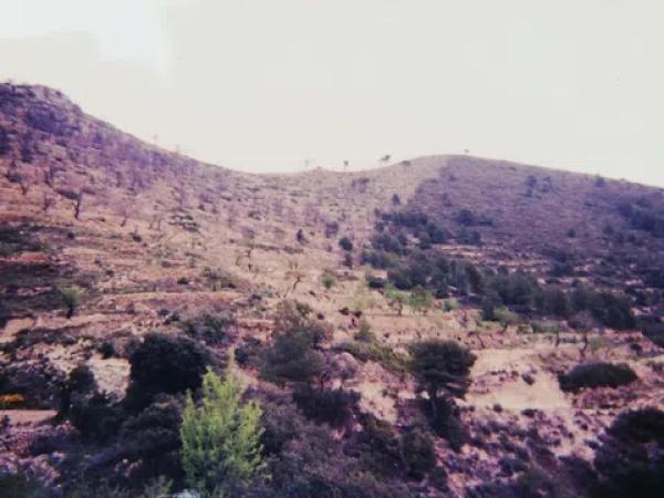 Terreno en Paraje Monte Agut