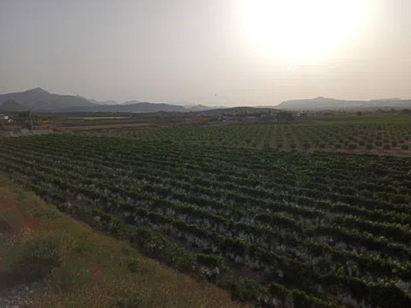 Terreno en Cv-840, km 3