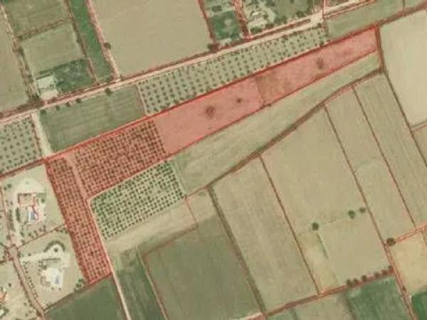 Terreno en camino de lo Chicharra, 14