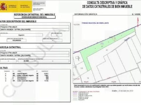 Terreno en camino de lo Chicharra, 14