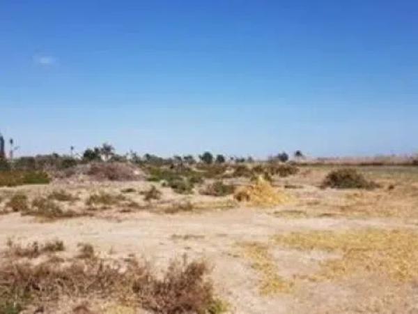 Terreno en camino de lo Chicharra, 14