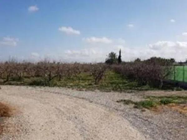 Terreno en camino de lo Chicharra, 14