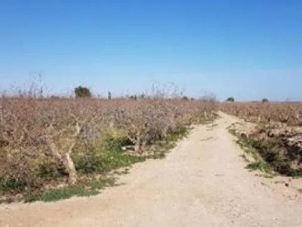 Terreno en camino de lo Chicharra, 14