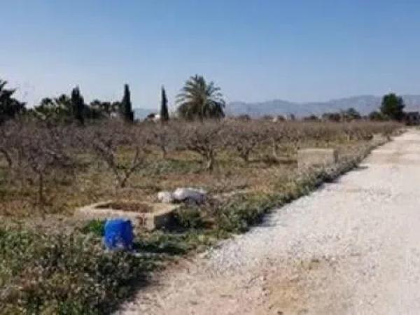 Terreno en camino de lo Chicharra, 14