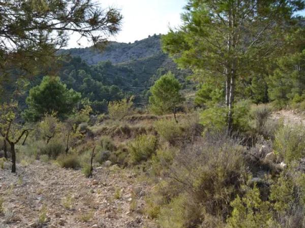 Terreno en bortolons s/n