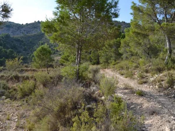 Terreno en bortolons s/n