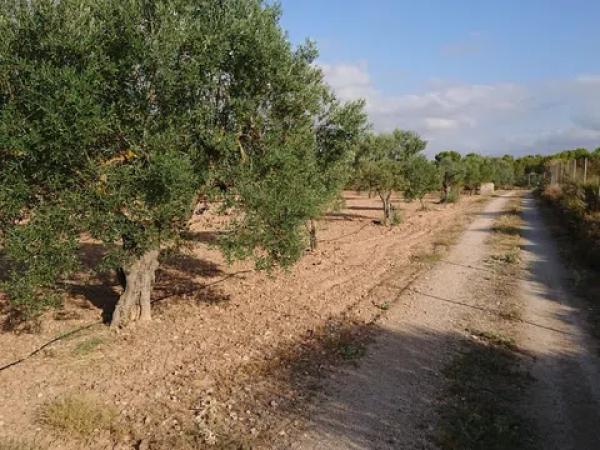 Terreno en carretera C-71 s/n