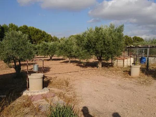 Terreno en carretera C-71 s/n