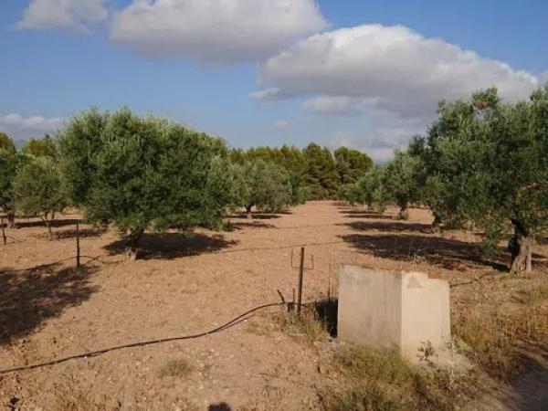 Terreno en carretera C-71 s/n