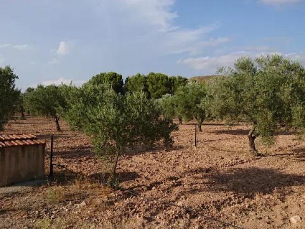 Terreno en carretera C-71 s/n